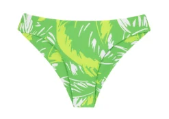 Bottom Green-Palms Nice