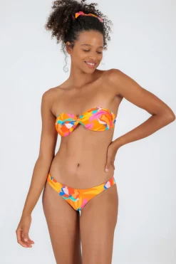 Bottom Orange-Bloom Nice