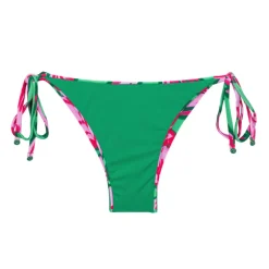 Bottom Parrots Ibiza