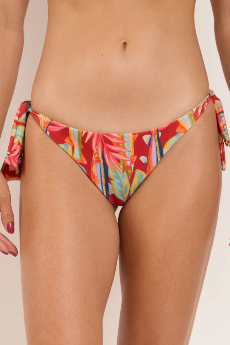 Bottom Sea-Bloom Italy