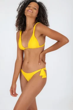 Bottom Sunflower Italy