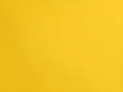 Bottom Sunflower Italy