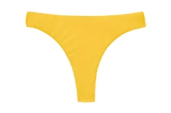 Bottom Sunflower Nice-Fio