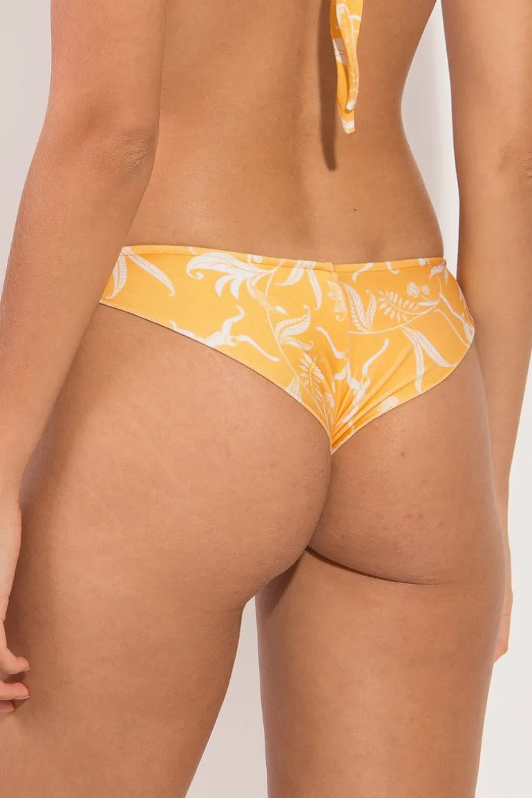 Bottom Sunny-Forest Nice