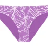 Bottom Trail-Purple Essential-Comfy