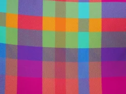 Bottom Tulip-Garden Ibiza