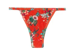 Bottom Wildflowers California