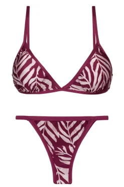 Set Palms-Vine Tri-Fixo California