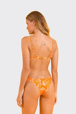 Set Trail-Orange Tri-Fixo Essential