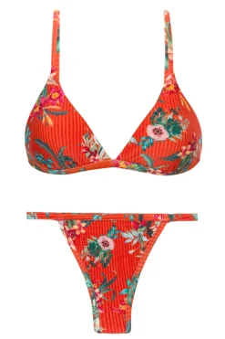 Set Wildflowers Tri-Fixo California