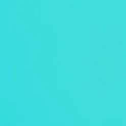 Top Amb-Nannai Camille