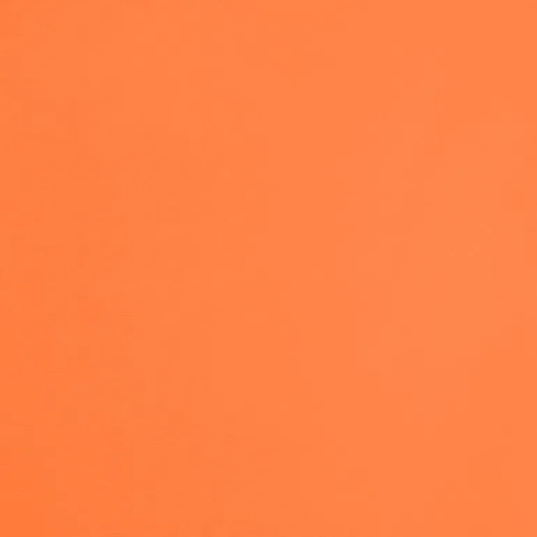 Top Bio-Laranjada Sara