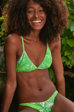 Top Green-Palms Tri-Fixo